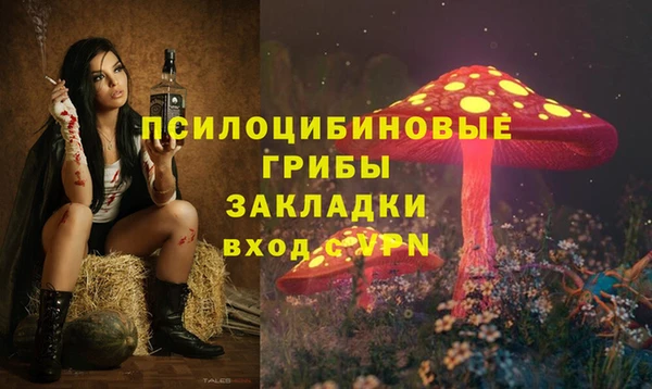 МДМА Медногорск