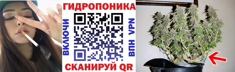 как найти закладки  Поворино  Бошки марихуана индика 